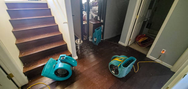 Best Carpet water damage restoration  in North Miami Beach, FL