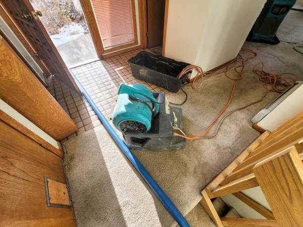 Best Water damage restoration near me  in North Miami Beach, FL