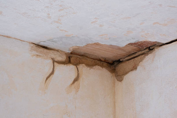Best Residential water damage restoration  in North Miami Beach, FL