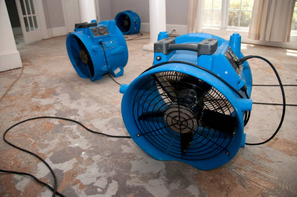 Best Water damage restoration near me  in North Miami Beach, FL