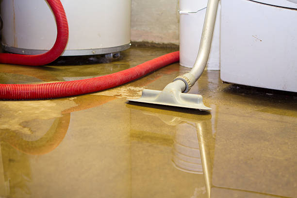 Trusted North Miami Beach, FL Water damage restoration Experts