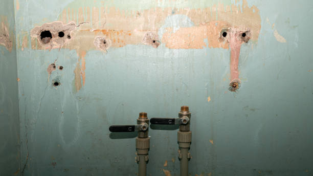 Best Water damage contractors near me  in North Miami Beach, FL