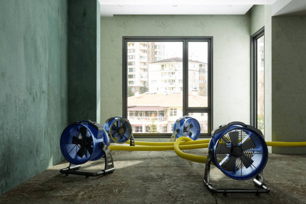 24/7 water damage repair in North Miami Beach, FL